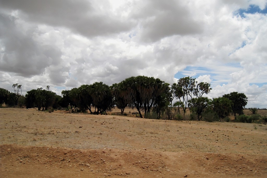 Kenia (364).jpg